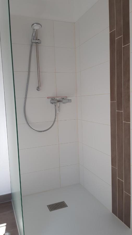 Haus Am Park Apartment Thallwitz Екстериор снимка