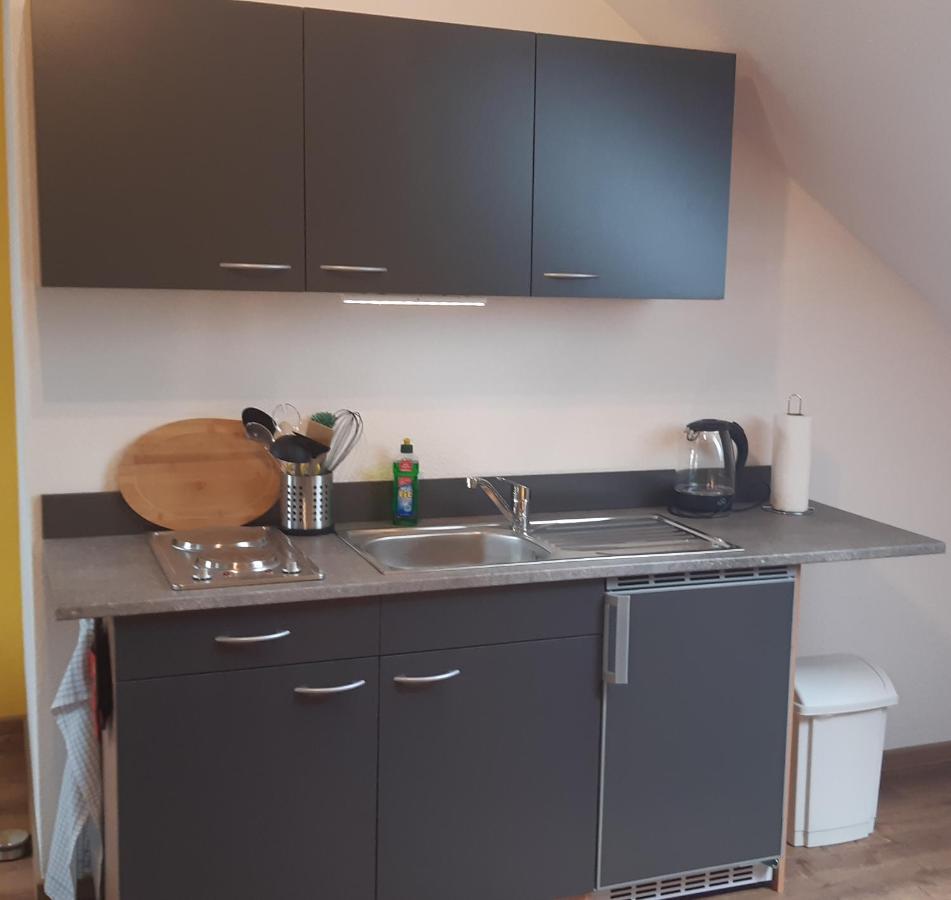 Haus Am Park Apartment Thallwitz Екстериор снимка