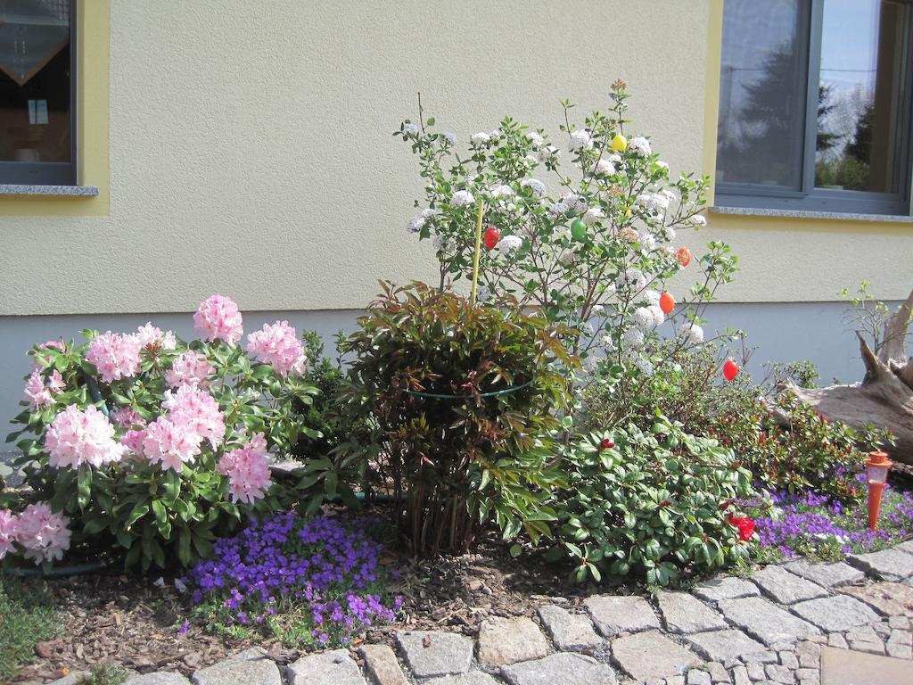 Haus Am Park Apartment Thallwitz Стая снимка