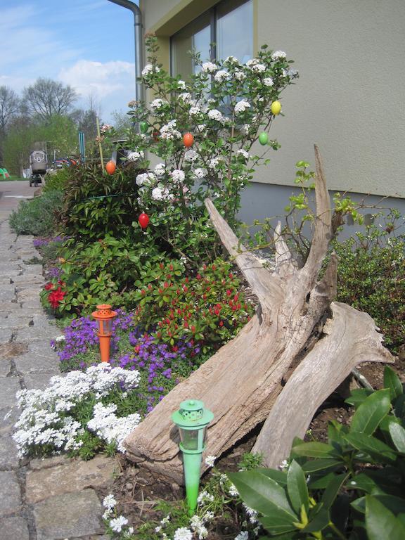 Haus Am Park Apartment Thallwitz Стая снимка
