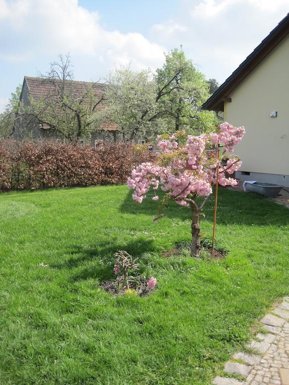 Haus Am Park Apartment Thallwitz Стая снимка