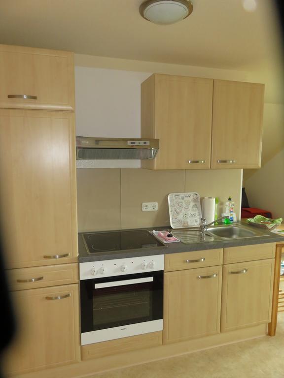 Haus Am Park Apartment Thallwitz Екстериор снимка