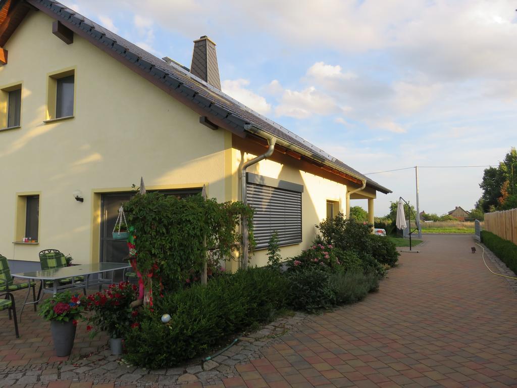 Haus Am Park Apartment Thallwitz Екстериор снимка