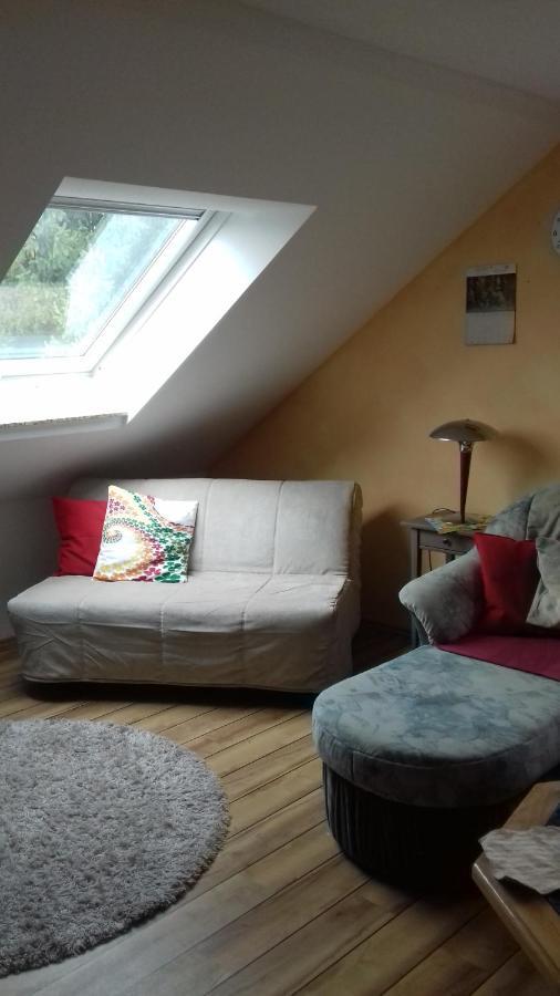 Haus Am Park Apartment Thallwitz Екстериор снимка